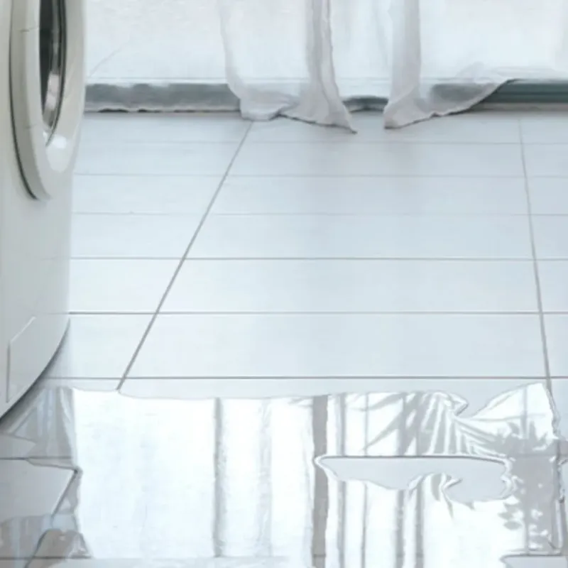 Appliance Leak Cleanup in White Hall, IL