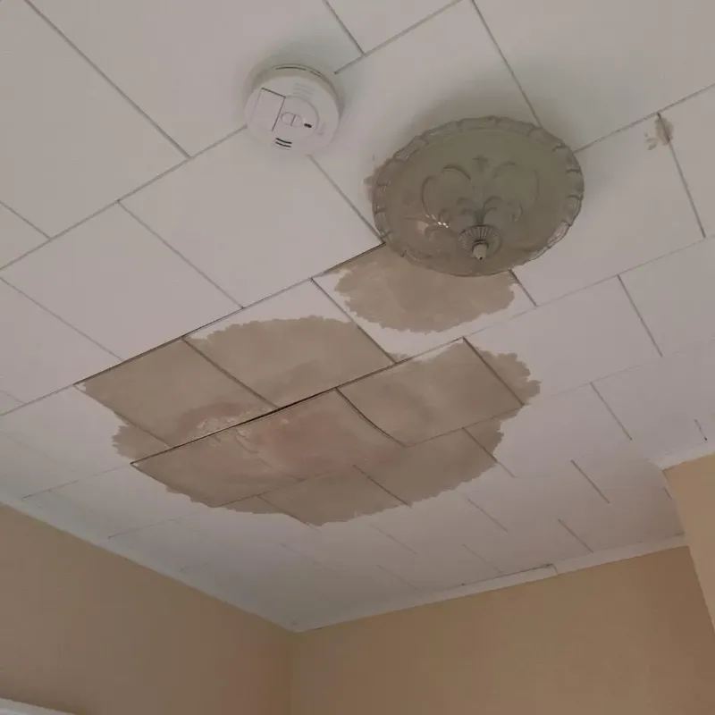 Ceiling Water Damage Repair in White Hall, IL