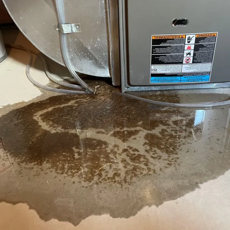 Pipe Burst and Leak Restoration in White Hall, IL