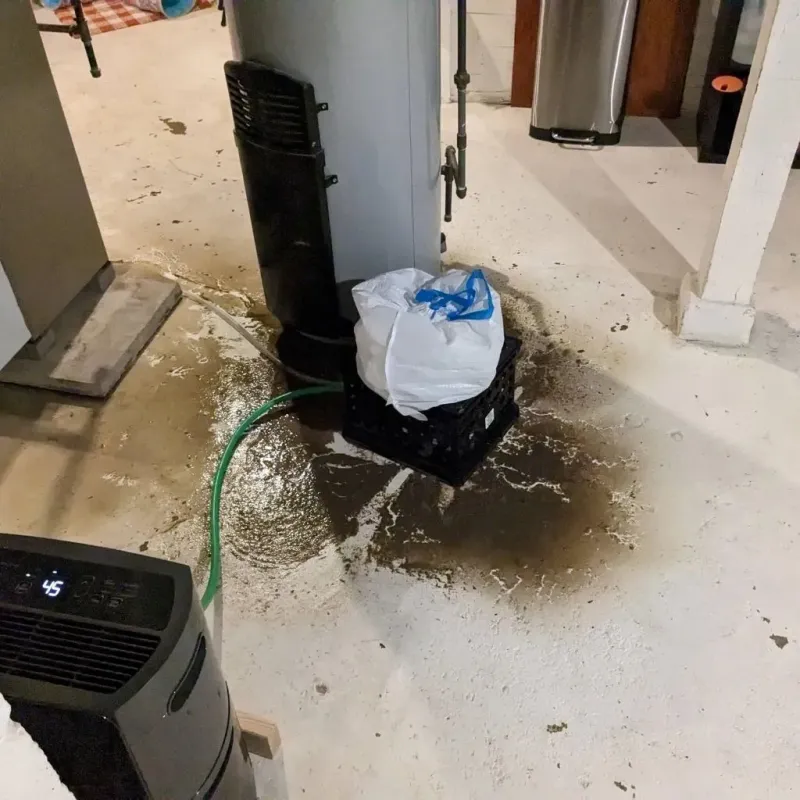Sewage Backup Cleanup Service in White Hall, IL